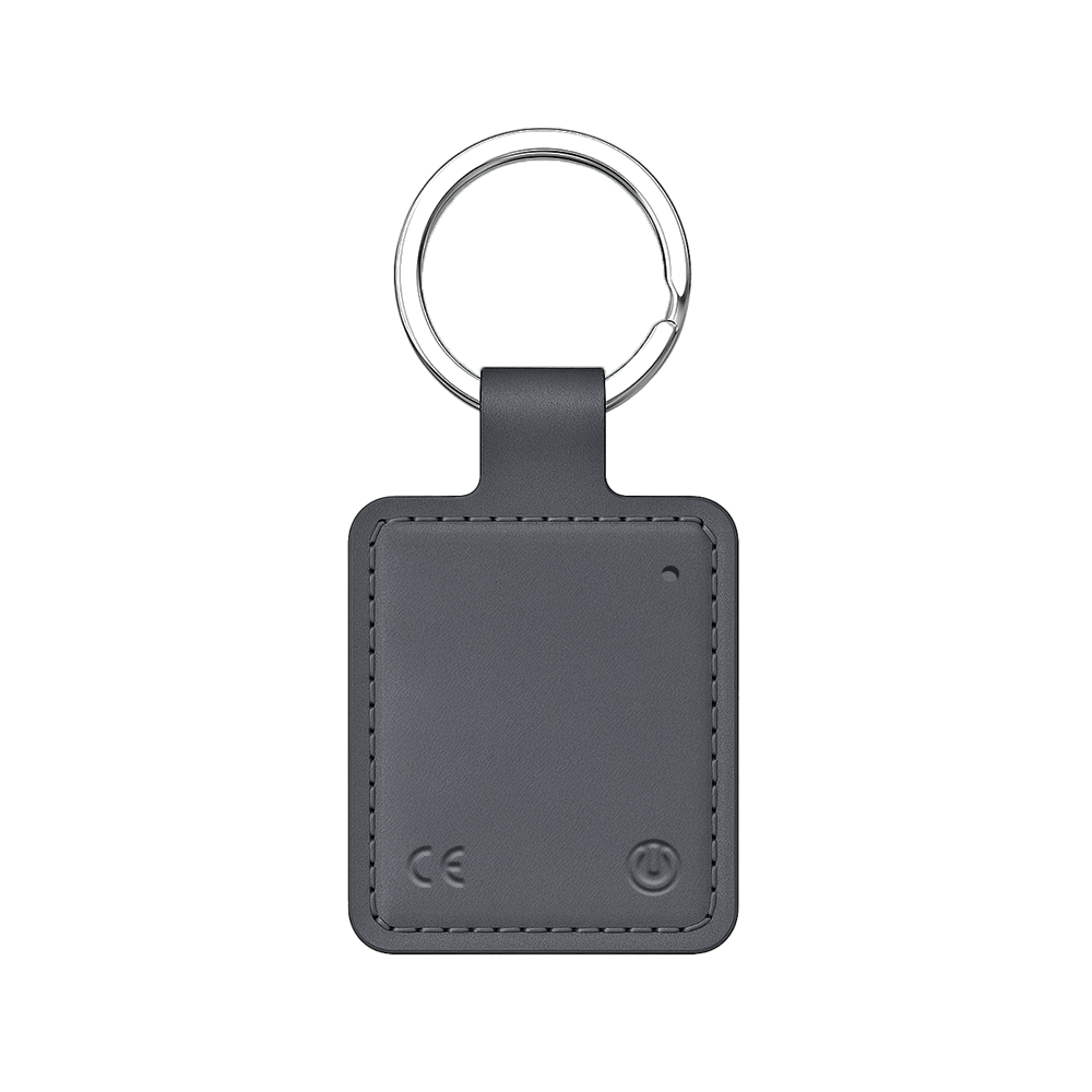 Nepaprastas Gudručio pakabukas - ieškiklis